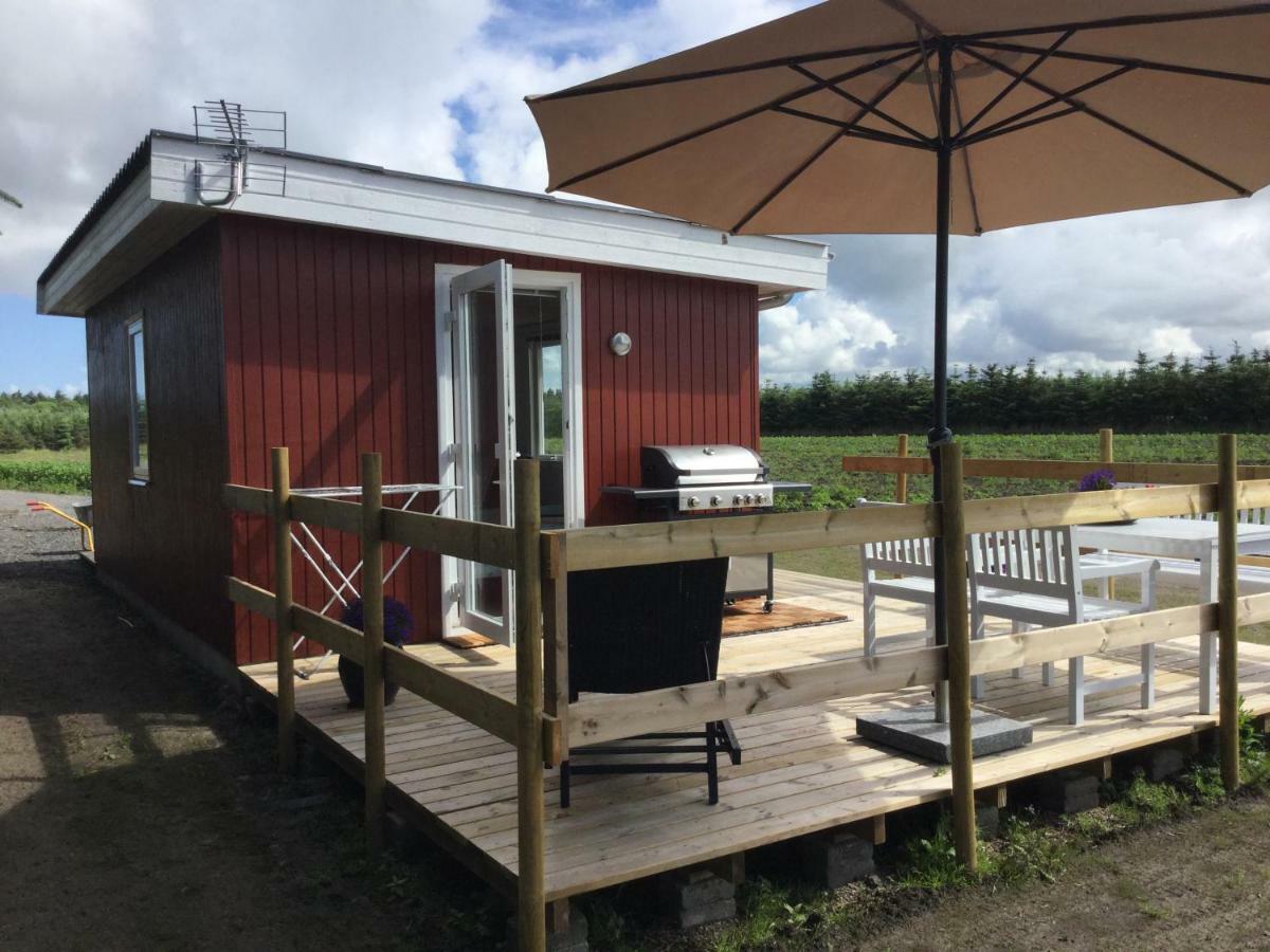 Feriehytten Honsehuset Villa Lokken Bagian luar foto