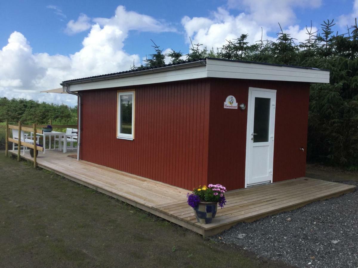 Feriehytten Honsehuset Villa Lokken Bagian luar foto